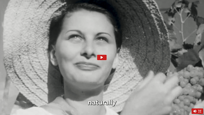 Oliabo-Company-Products-evoolive